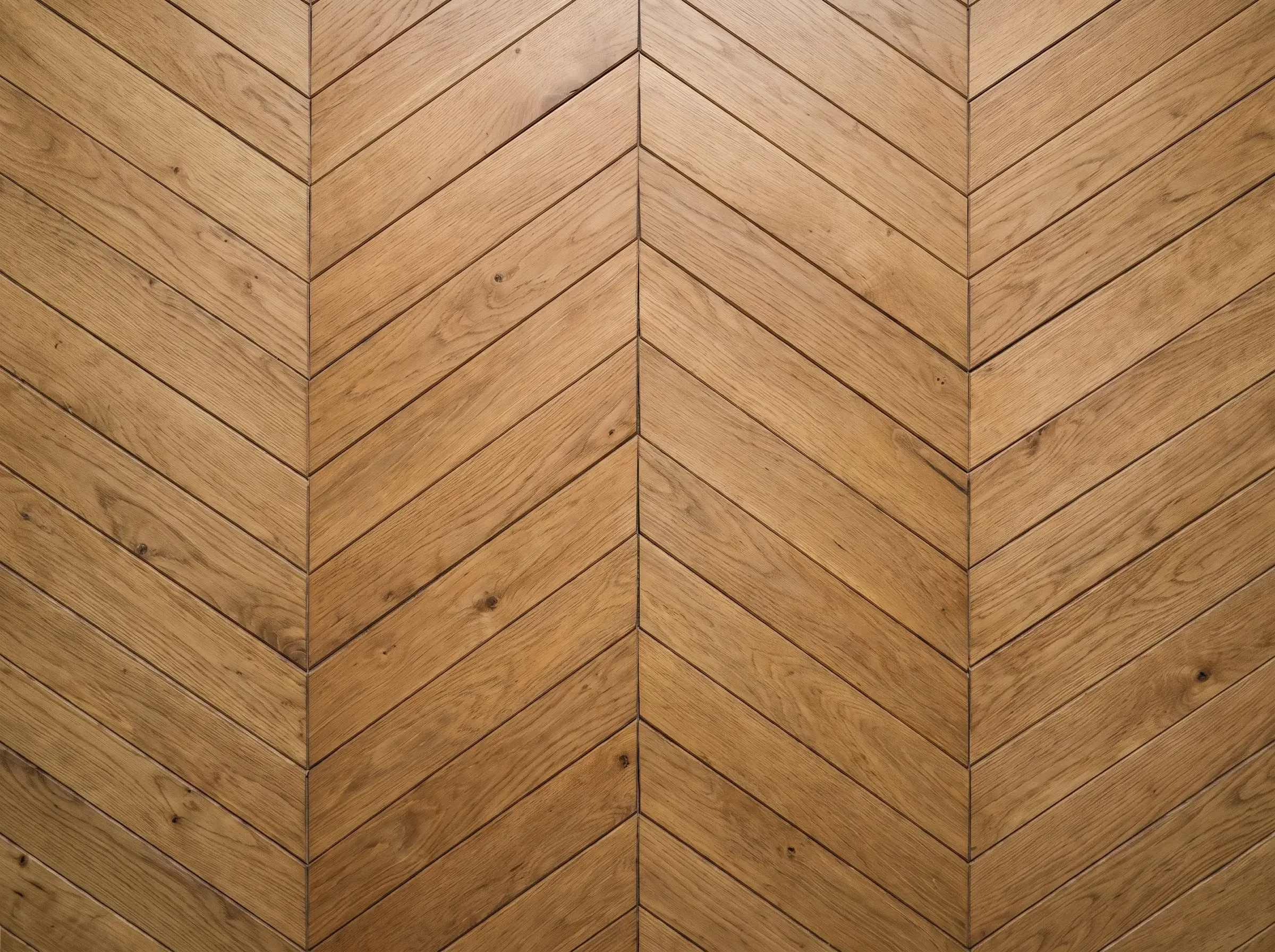Straight-overhead-top-down-photograph-of.webp